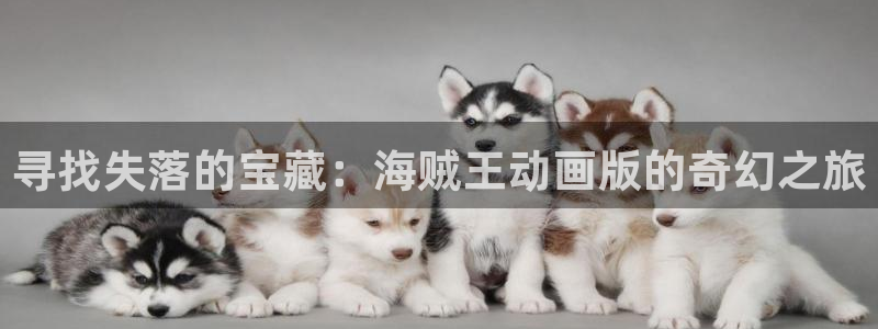 omofun动漫在线观看免费全集：寻找失落的宝藏：海贼王动画版的奇幻之旅