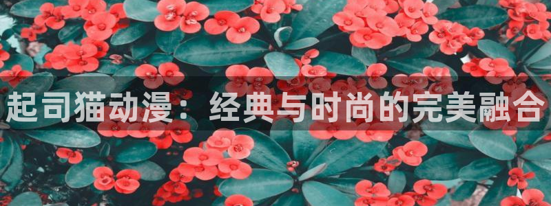 omofun动漫共和国：起司猫动漫：经典与时尚的完美融合