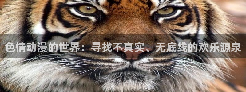 omofun动漫共和国下载最新版本：色情动漫的世界：寻找不真实、无底线的欢乐源泉